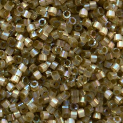 DB1876 Silk Inside Dyed Cactus AB Delica