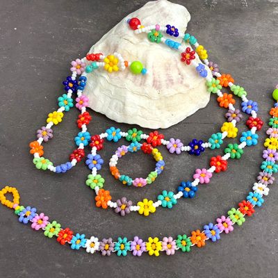 Daisy Collection Rainbow Mix Simples