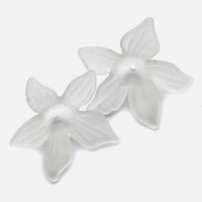 PB110 White Clematis