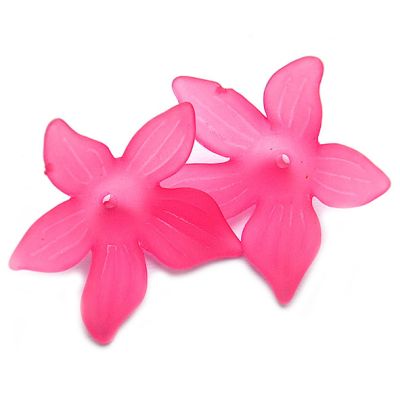 PB111 Cerise Clematis