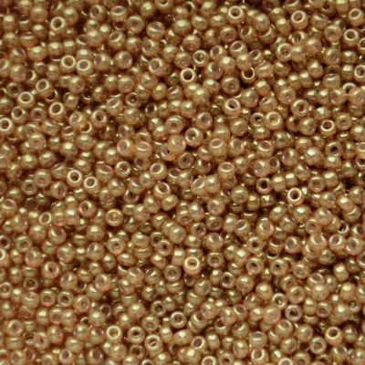 RC11-2372 Translucent Spice Size 11 Seed Beads