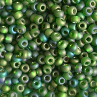 RC673 Frost Silver Lined Emerald AB Size 8 Seed Beads