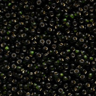 RC655 SL Dark Olive Size 10 Seed Beads