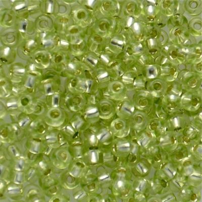 RC635 SL Eau de Nil Size 8 Seed Beads