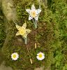 Daffodil Brooch