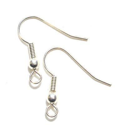 FN001 Pair of Silver Fishhook Earwires