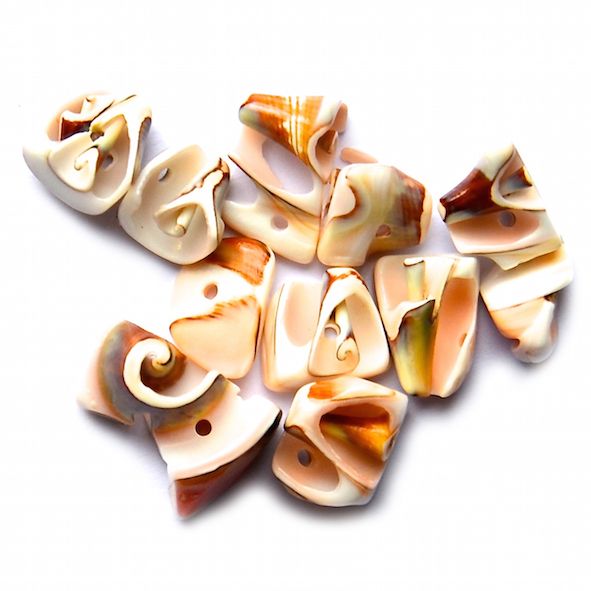 GL5702 Drilled Shell Segments