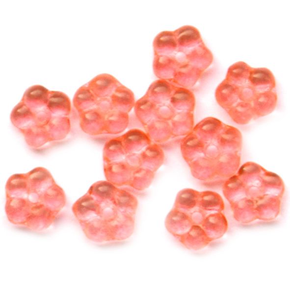 GL6081 Orange Forget-me-not Flower