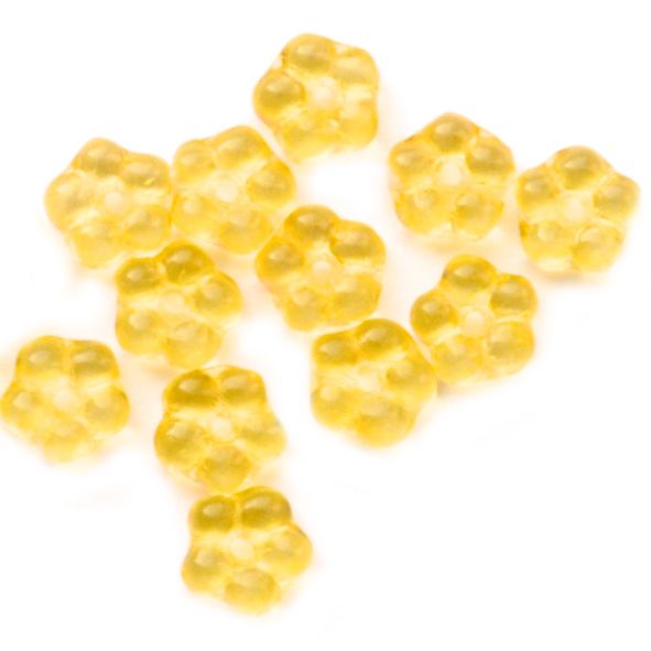 GL6095 Yellow Forget-me-not Flower