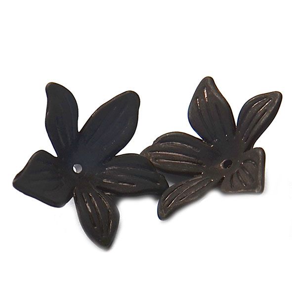 PB114 Black Clematis