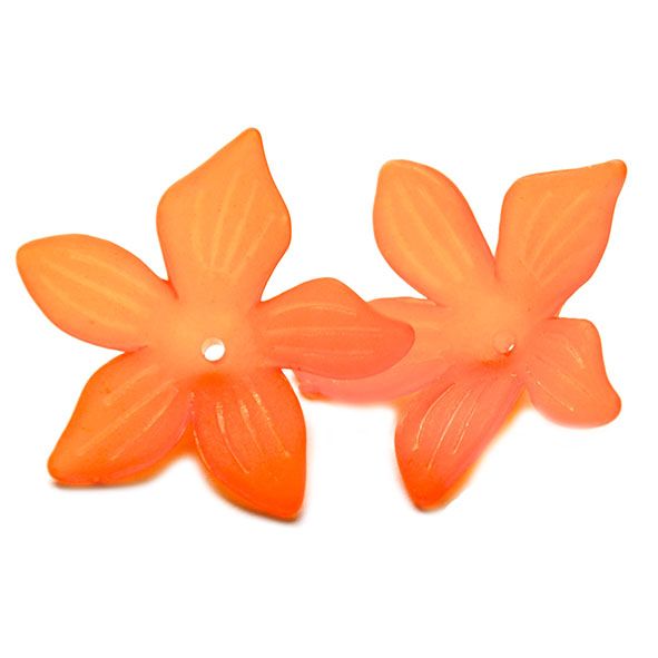 PB115 Hot Orange Clematis