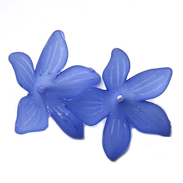 PB116 Tanzanite Clematis