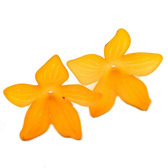 PB118 Pumpkin Clematis