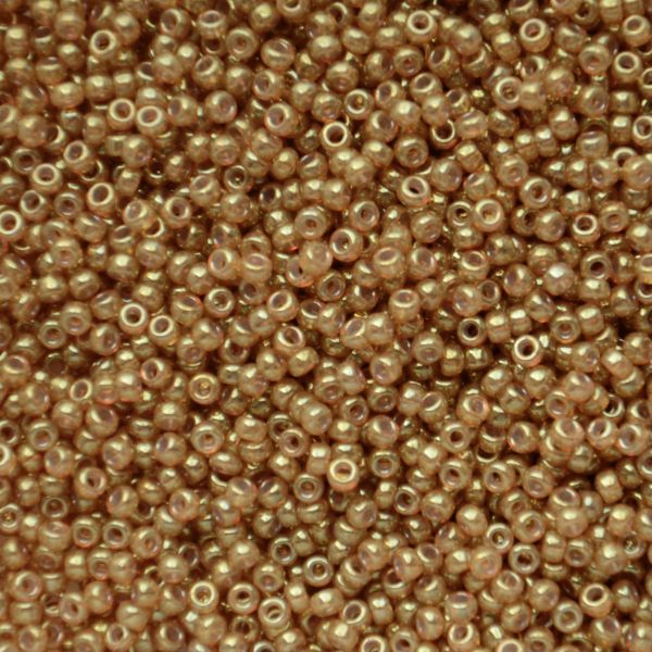 RC11-2372 Translucent Spice Size 11 Seed Beads