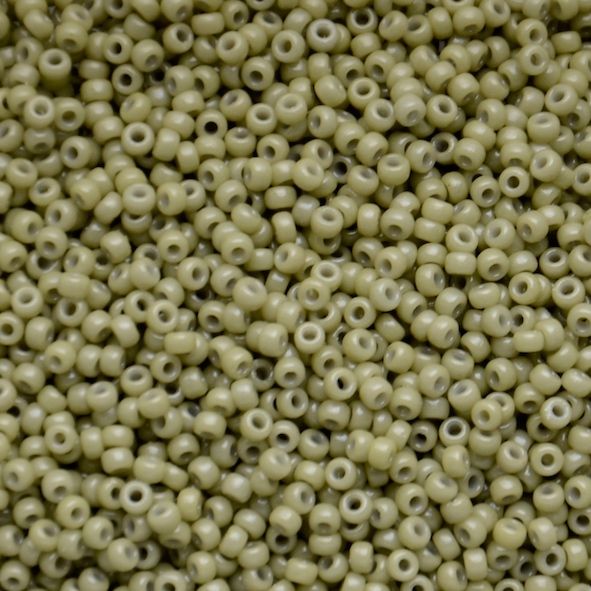 RC11-4474 Duracoat Op Dyed Cactus Size 11 Seed Beads