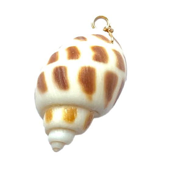 SH006 30-35mm Light Shell Pendant