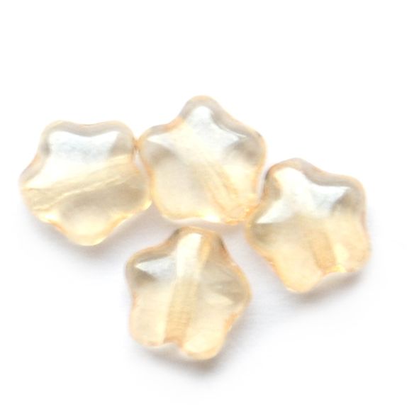 GL1679 6mm Champagne Star Bead
