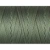 BT589 Fern C Lon Thread