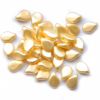 GL5728 Cream Pearl Pip Beads