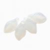 GL5815 Soft White TO Leaf Bead